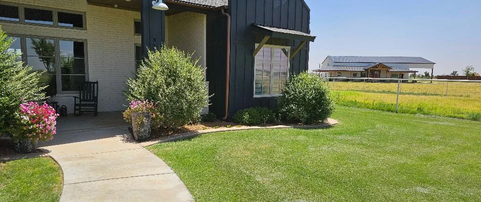 Mowed lawn and plants in landscape bed in Lubbock, TX.