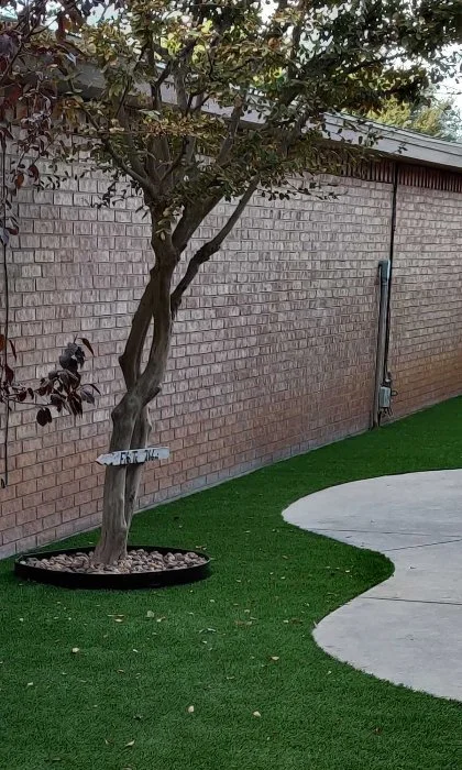 Lubbock, TX home with new artificial turf installed.