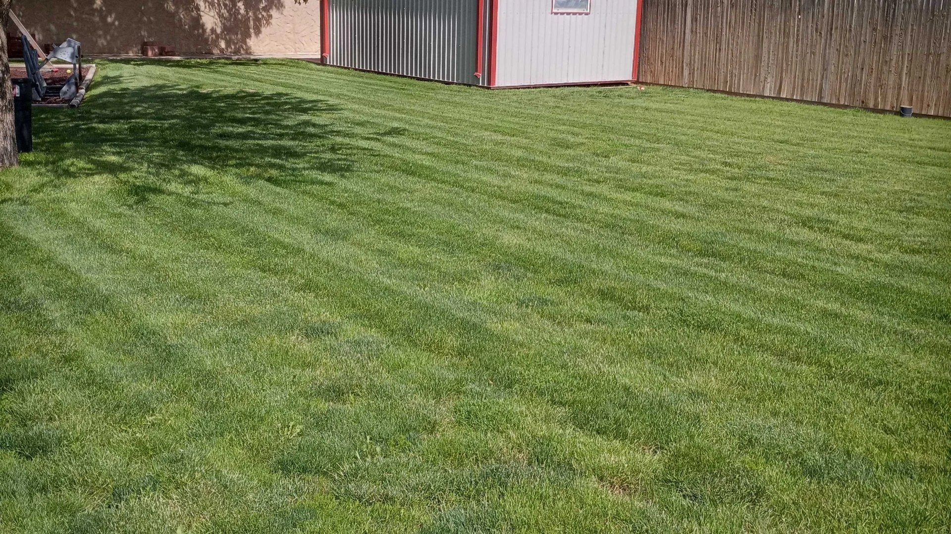 What Is a Fall Cleanup Service?