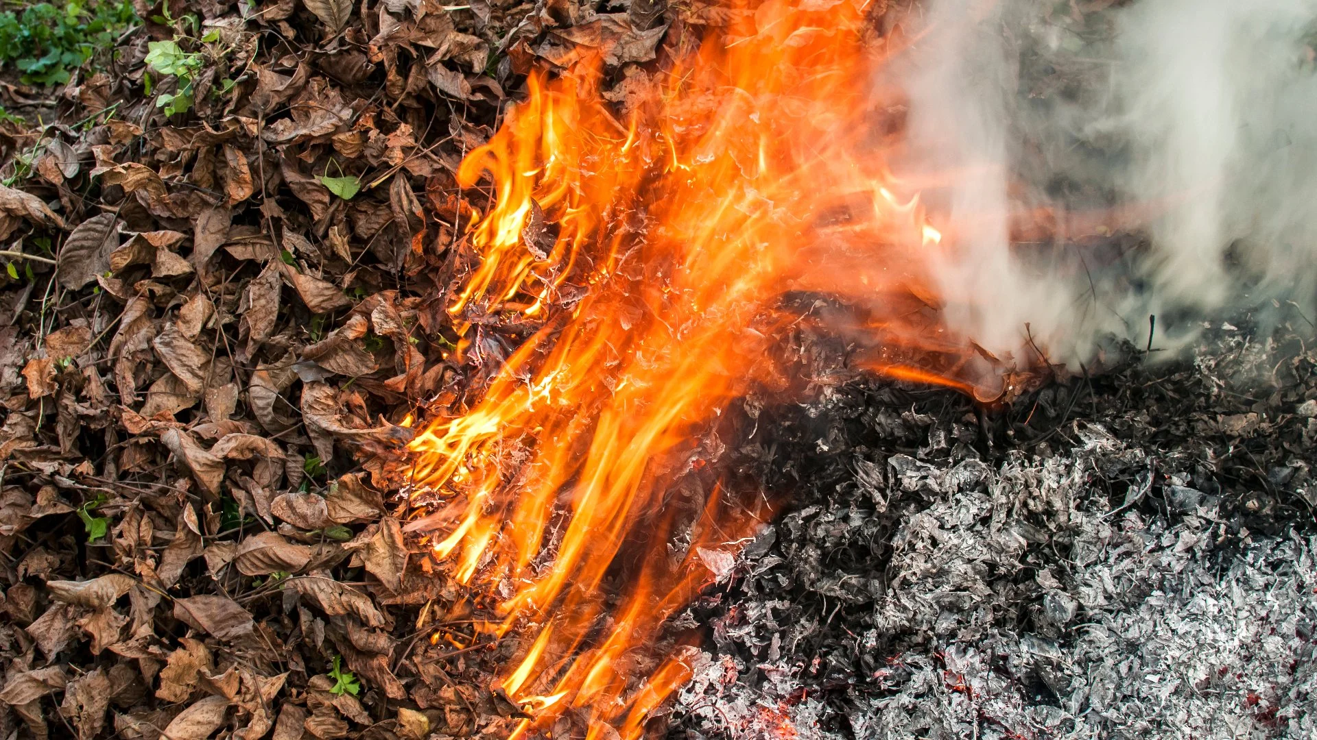 Is It Okay to Burn Leaf Piles in Lubbock, TX?