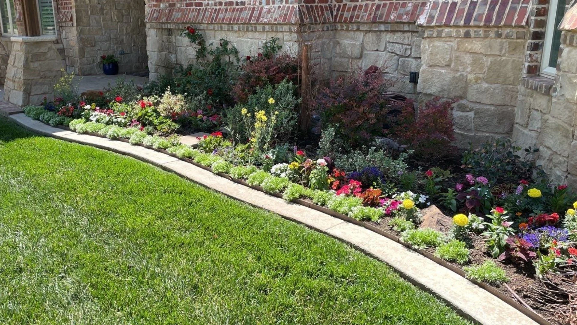 The Art of Layering Plants: Tips for a More Dynamic Landscape