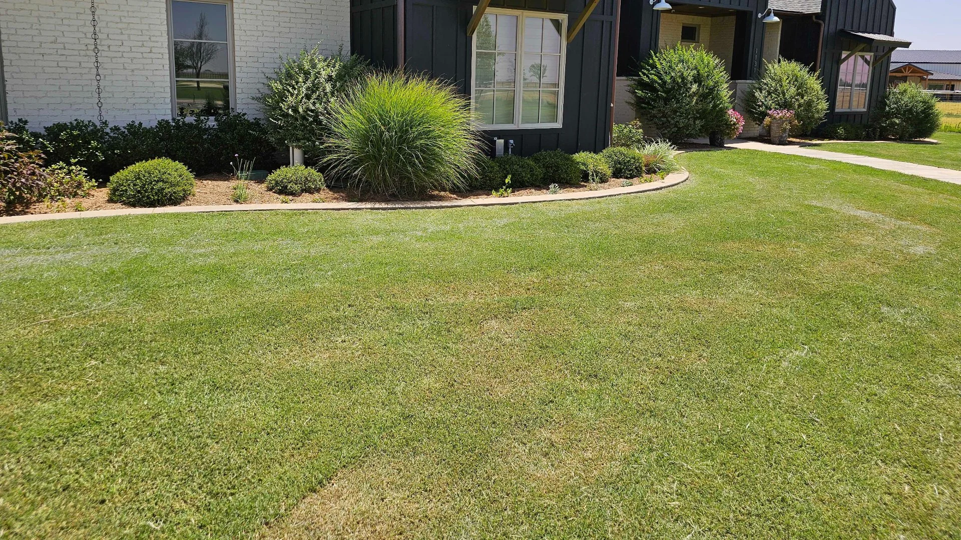 What Leads to Excessive Weed Growth in Lawns?