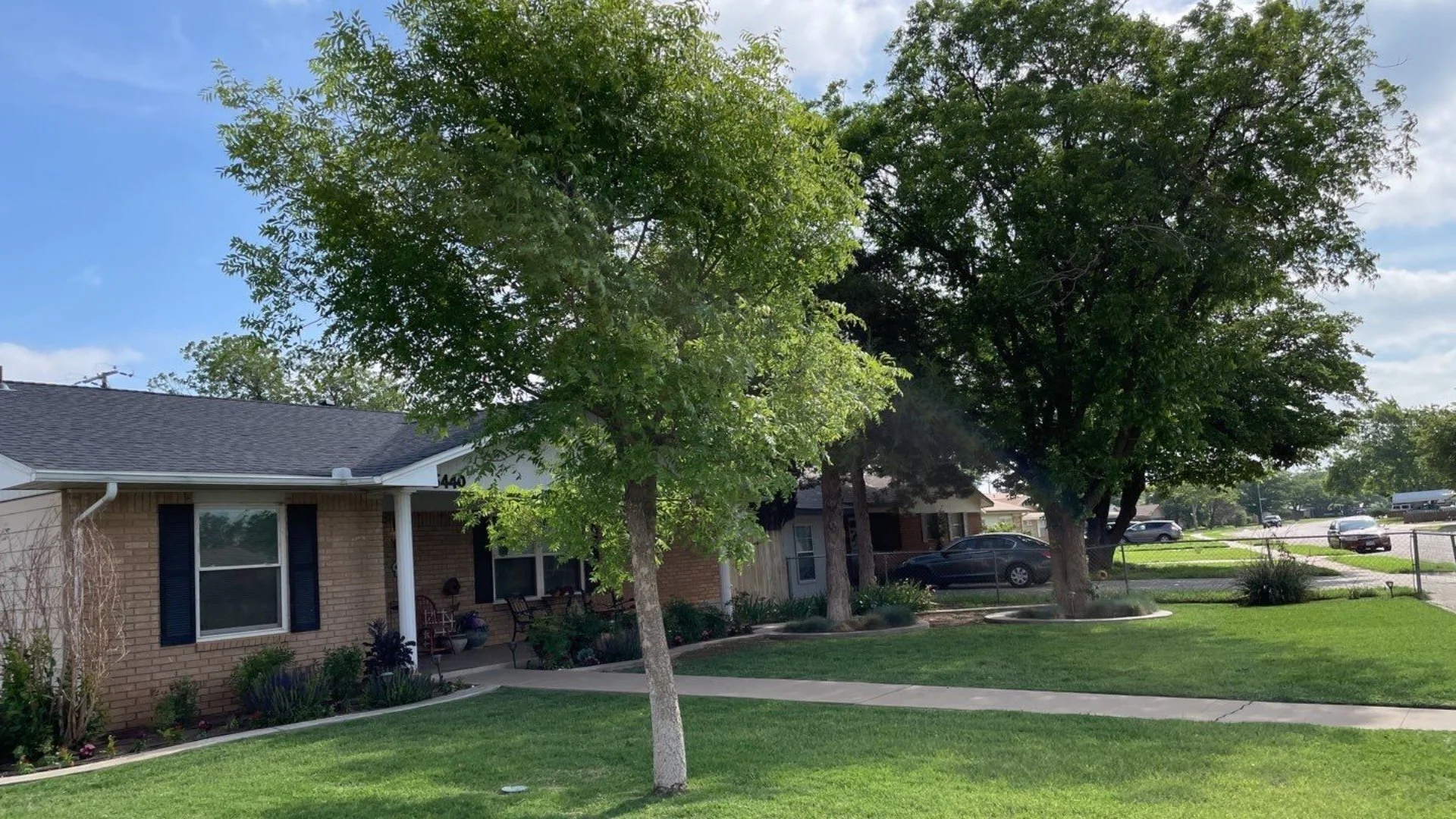 Plant Pruning: How It Promotes Healthy Trees & Shrubs