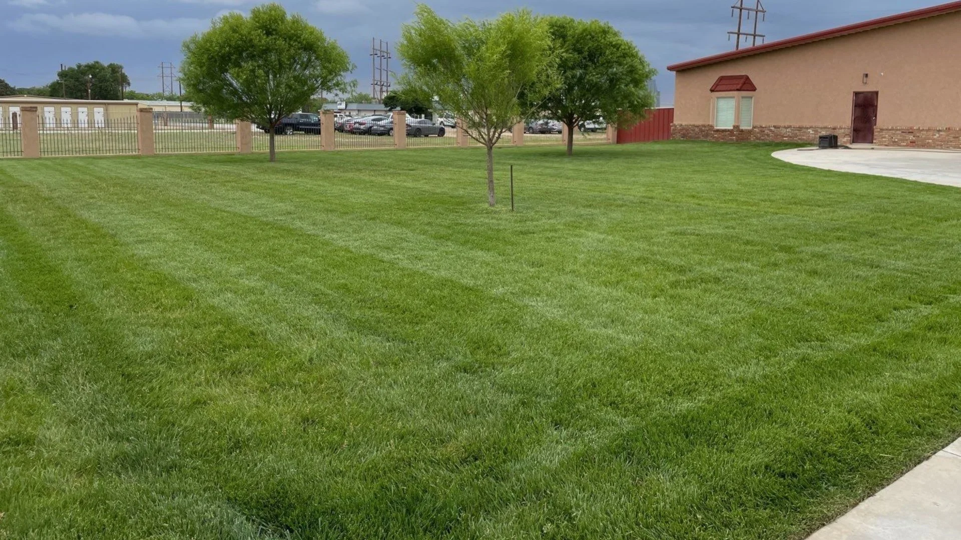 The 1/3 Rule: What Is Its Importance for Lawn Mowing?