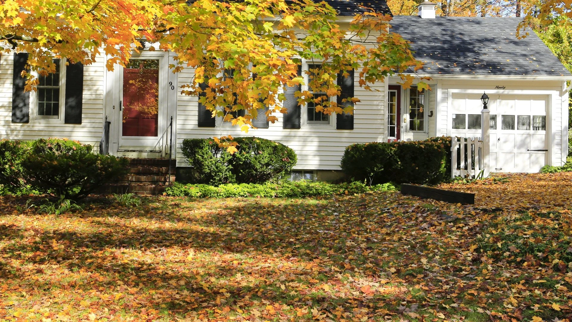 Make Sure to Clean Up the Leaves on Your Lawn in Lubbock, TX!