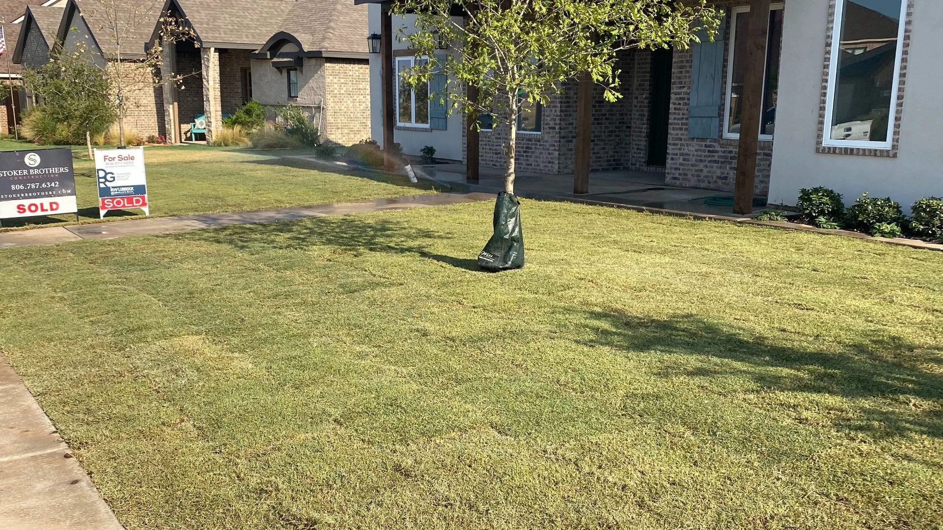 How Long Does It Take for Sod to Root?