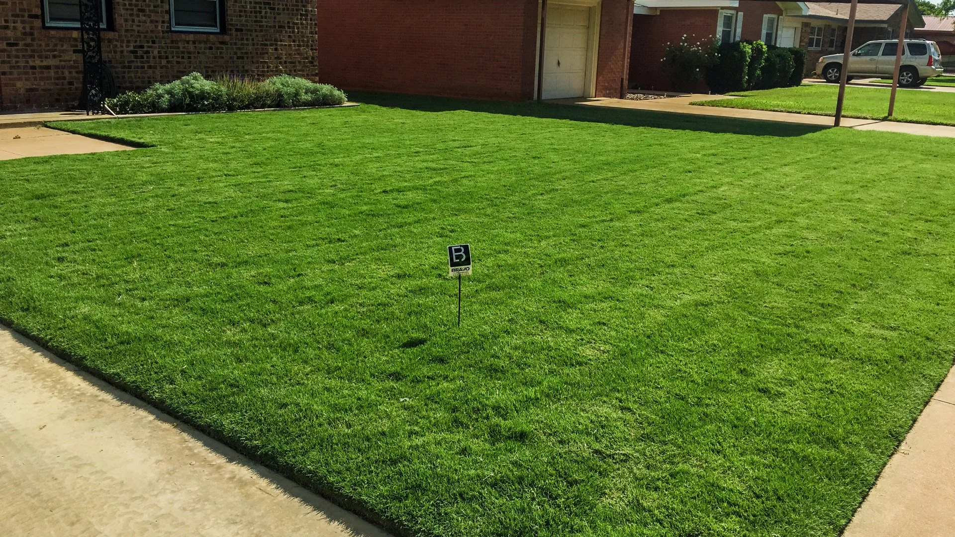 Make Sure You Fertilize Your Lawn in Lubbock, TX, in the Fall!