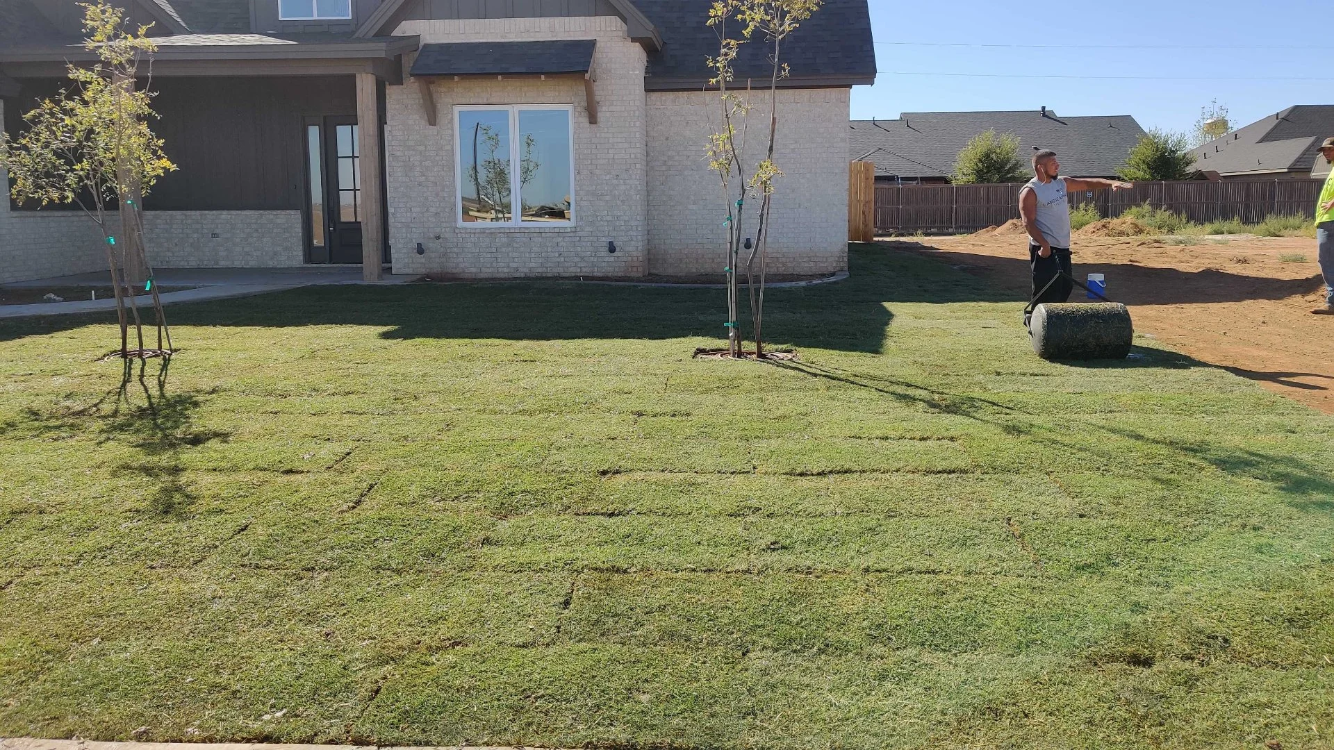 Is Artificial Turf or Sod Better?