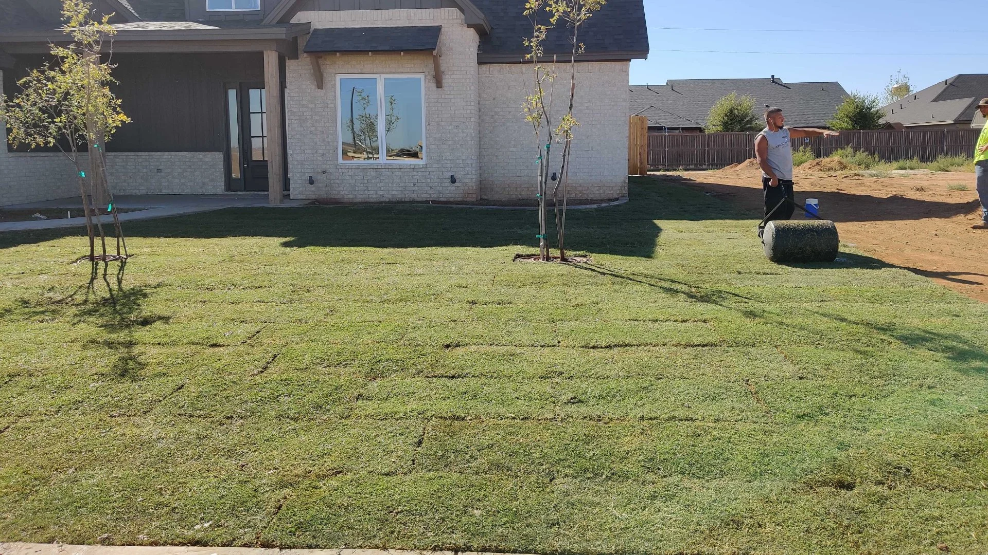 Things You Should Consider When Choosing Between Sod & Seed