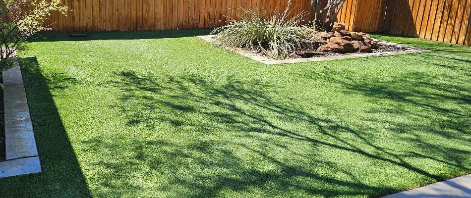Artificial turf in Lubbock, TX, with a landscape bed.