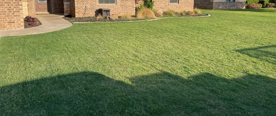 Healthy green lawn in Ralls, TX.