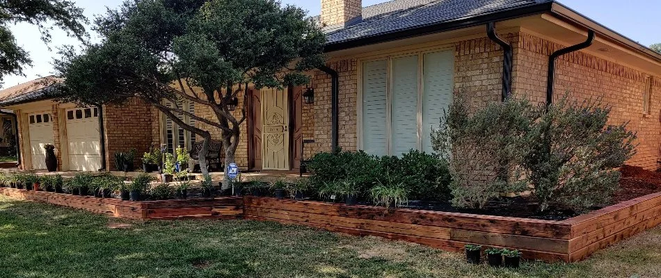 Retaining wall planter with tree and smaller plants in Lubbock, TX.
