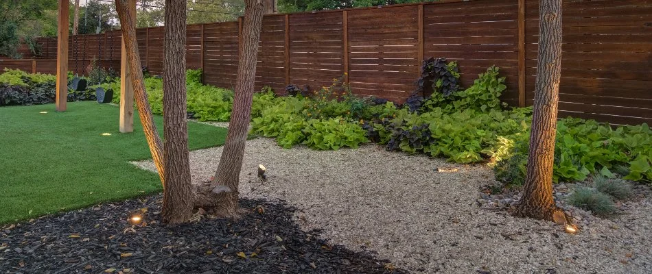 Uplighting for trees in a backyard in Lubbock, TX.
