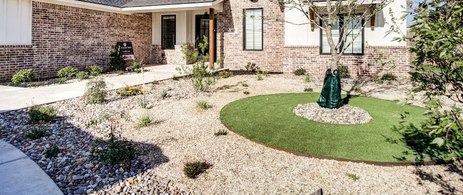 Yard in Lubbock, TX, with landscaping rocks and plants.
