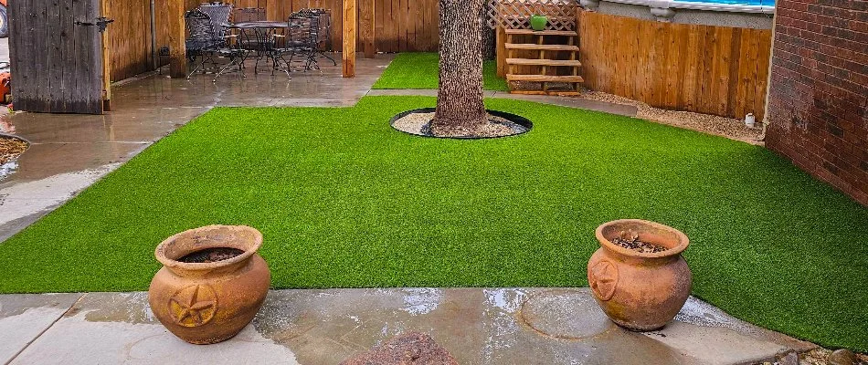 Backyard in Lubbock, TX, with artificial turf, pots, and a tree.