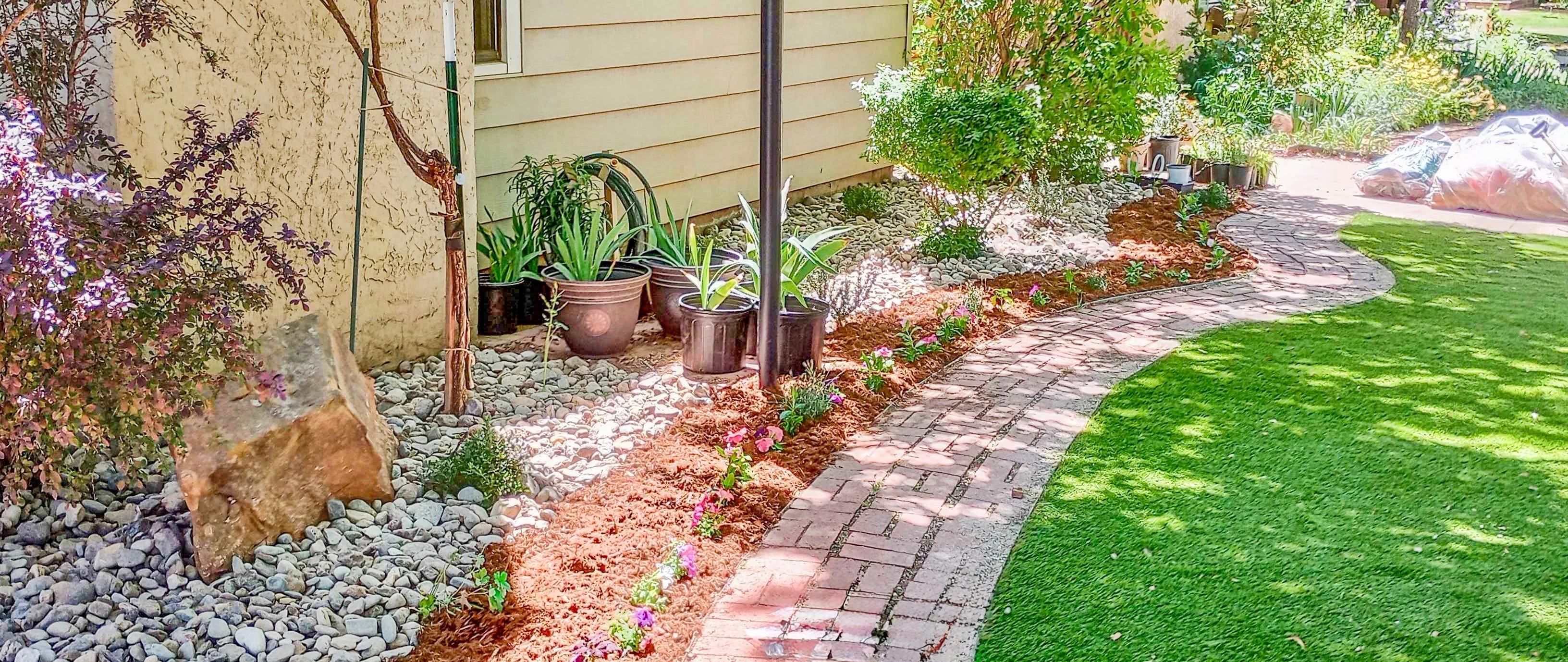 Plants and rocks in a landscape bed in Lubbock, TX.