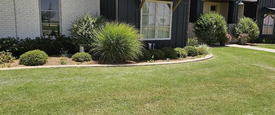 Green grass with shrubs in Floydada, TX.