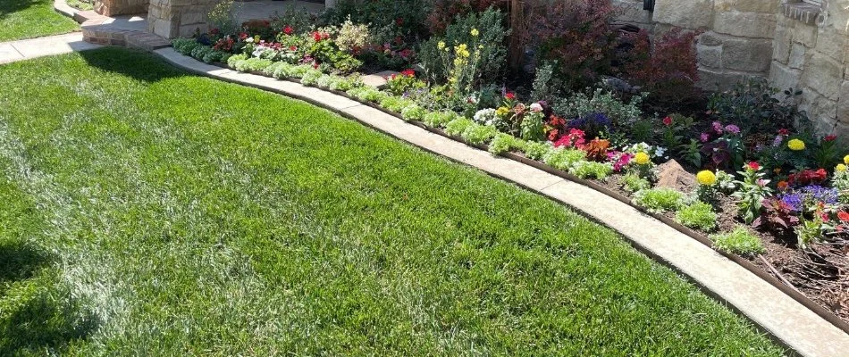 Green lawn and colorful flowers in Hale Center, TX.
