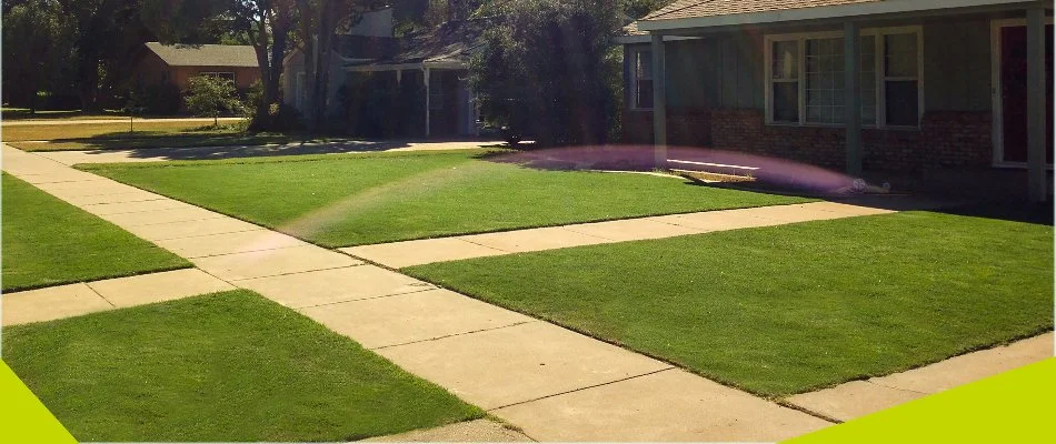 Healthy lawn in a front yard in Morton, TX.