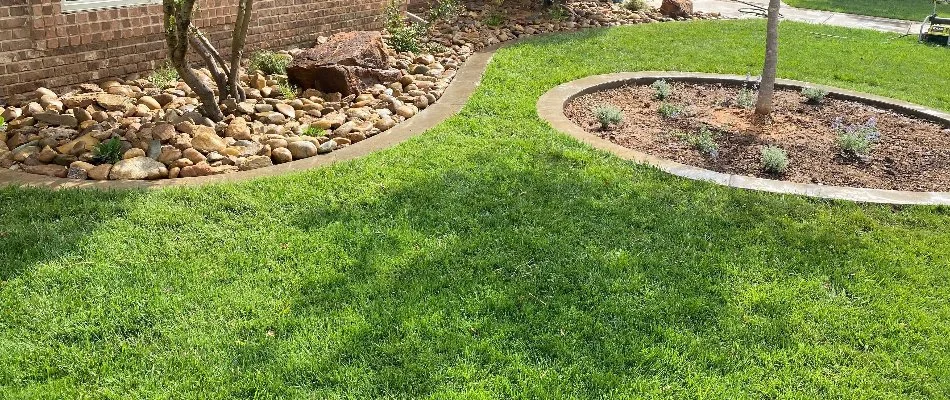 Green grass in Denver City, TX, with landscape beds.