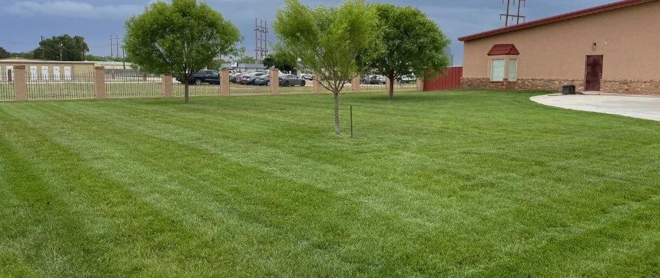 Lush, green lawn in Idalou, TX, with trees.