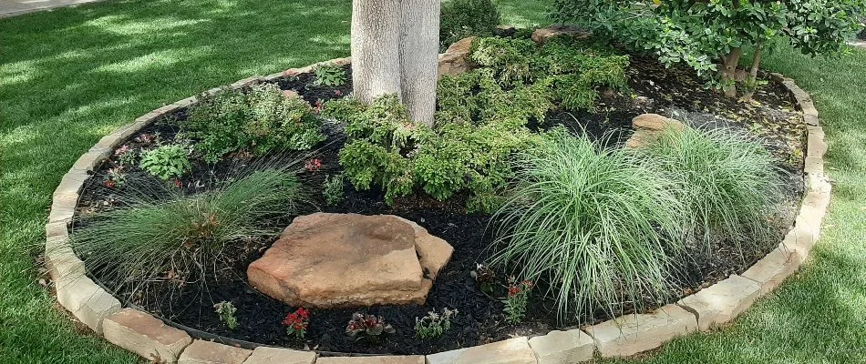 Mulched landscape bed in Brownfield, TX, with plants and shrubs.