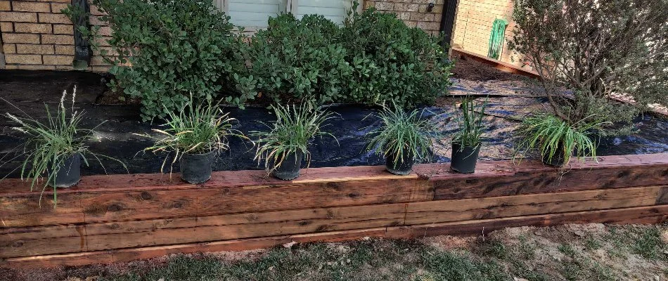 Retaining wall in Lubbock, TX, with raised planter bed.