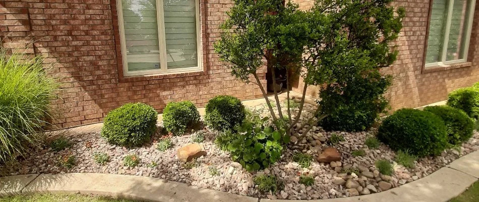 Thick, green trees and shrubs on a landscape in New Home, TX, with rocks.