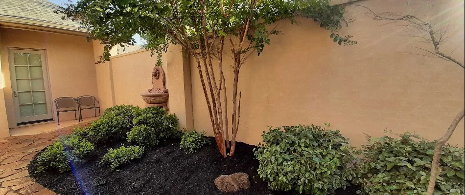Landscape in Seminole, TX, with tree and shrubs.