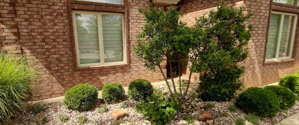 Residential property in Ransom Canyon, TX, with trees and shrubs in landscaping.